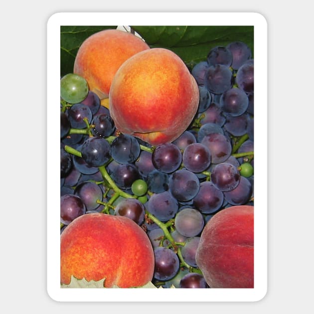 Peaches & Grapes Sticker by ephotocard